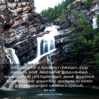 Picture 03 - யாத்திராகமம் 14:17 TAMIRV - எகிப்தியர்கள் - Bible Verse Picture