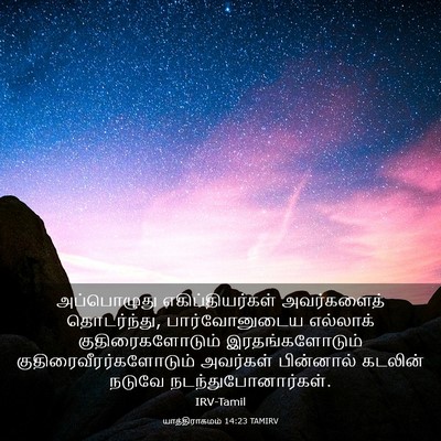 Picture 03 - யாத்திராகமம் 14:23 TAMIRV - அப்பொழுது - Bible Verse Picture