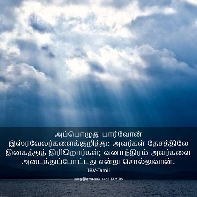 Picture 03 - யாத்திராகமம் 14:3 TAMIRV - அப்பொழுது - Bible Verse Picture