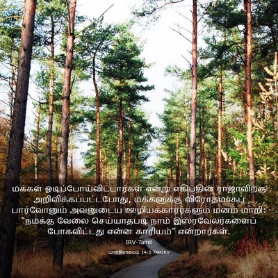 Picture 03 - யாத்திராகமம் 14:5 TAMIRV - மக்கள் - Bible Verse Picture