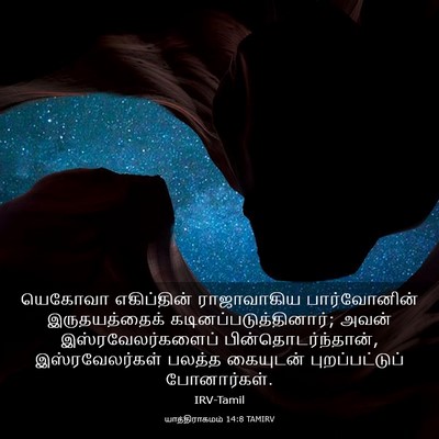 Picture 03 - யாத்திராகமம் 14:8 TAMIRV - யெகோவா எகிப்தின் - Bible Verse Picture