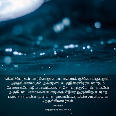 Picture 03 - யாத்திராகமம் 14:9 TAMIRV - எகிப்தியர்கள் - Bible Verse Picture