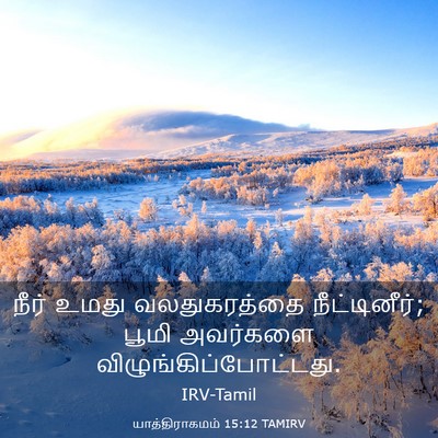 Picture 03 - யாத்திராகமம் 15:12 TAMIRV - நீர் உமது - Bible Verse Picture