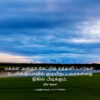 Picture 03 - யாத்திராகமம் 15:14 TAMIRV - மக்கள் அதைக் - Bible Verse Picture
