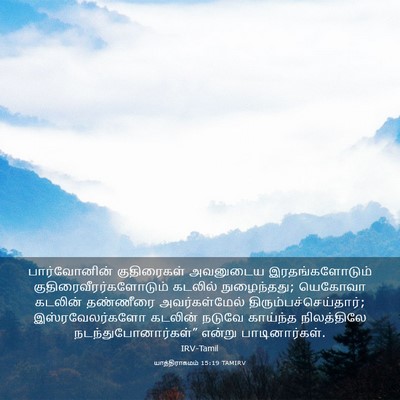 Picture 03 - யாத்திராகமம் 15:19 TAMIRV - பார்வோனின் - Bible Verse Picture