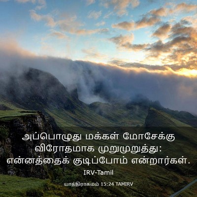 Picture 03 - யாத்திராகமம் 15:24 TAMIRV - அப்பொழுது மக்கள் - Bible Verse Picture