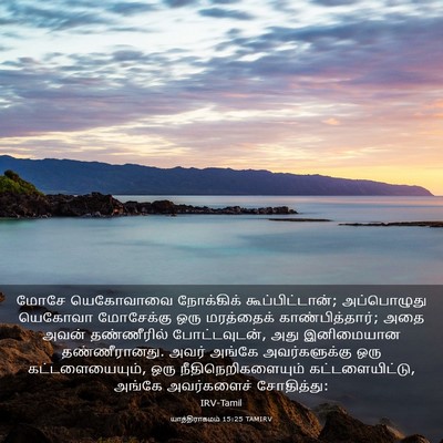 Picture 03 - யாத்திராகமம் 15:25 TAMIRV - மோசே யெகோவாவை - Bible Verse Picture