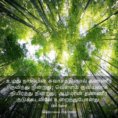 Picture 03 - யாத்திராகமம் 15:8 TAMIRV - உமது நாசியின் - Bible Verse Picture