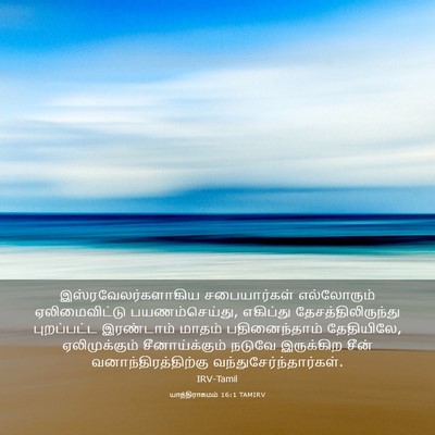 Picture 03 - யாத்திராகமம் 16:1 TAMIRV - இஸ்ரவேலர்களாகிய - Bible Verse Picture