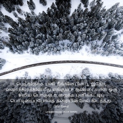 Picture 03 - யாத்திராகமம் 16:14 TAMIRV - பெய்திருந்த பனி - Bible Verse Picture