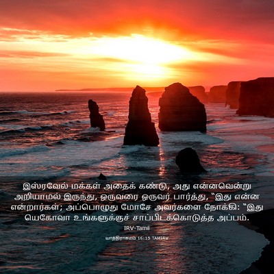 Picture 03 - யாத்திராகமம் 16:15 TAMIRV - இஸ்ரவேல் மக்கள் - Bible Verse Picture