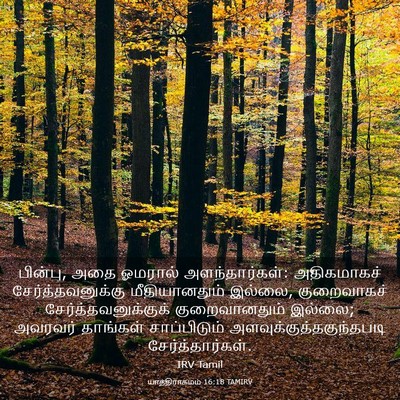 Picture 03 - யாத்திராகமம் 16:18 TAMIRV - பின்பு, அதை ஓமரால் - Bible Verse Picture