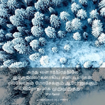 Picture 03 - யாத்திராகமம் 16:2 TAMIRV - அந்த - Bible Verse Picture
