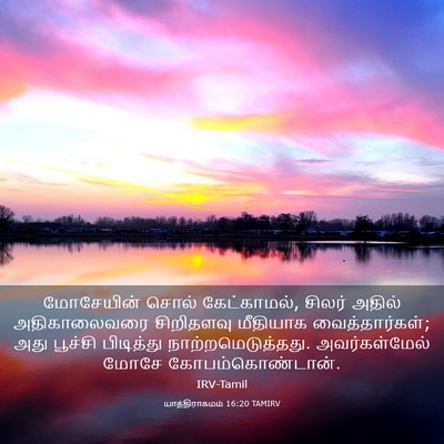 Picture 03 - யாத்திராகமம் 16:20 TAMIRV - மோசேயின் சொல் - Bible Verse Picture