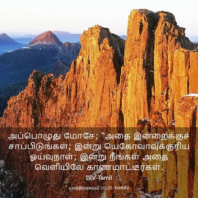 Picture 03 - யாத்திராகமம் 16:25 TAMIRV - அப்பொழுது மோசே; - Bible Verse Picture