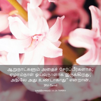 Picture 03 - யாத்திராகமம் 16:26 TAMIRV - ஆறுநாட்களும் - Bible Verse Picture