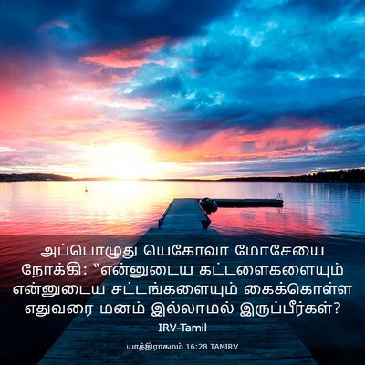 Picture 03 - யாத்திராகமம் 16:28 TAMIRV - அப்பொழுது யெகோவா - Bible Verse Picture