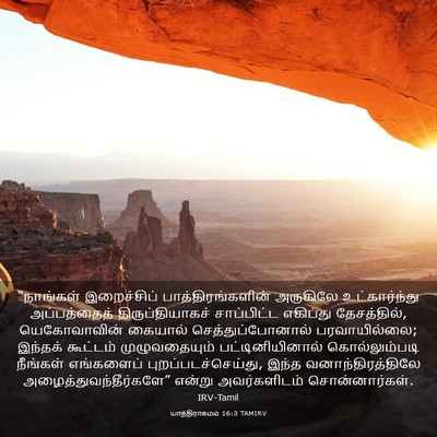 Picture 03 - யாத்திராகமம் 16:3 TAMIRV - “நாங்கள் - Bible Verse Picture