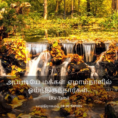 Picture 03 - யாத்திராகமம் 16:30 TAMIRV - அப்படியே மக்கள் - Bible Verse Picture