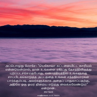 Picture 03 - யாத்திராகமம் 16:32 TAMIRV - அப்பொழுது மோசே: - Bible Verse Picture