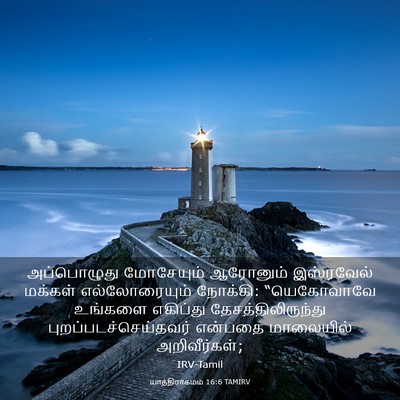 Picture 03 - யாத்திராகமம் 16:6 TAMIRV - அப்பொழுது - Bible Verse Picture