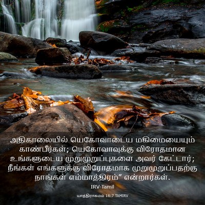 Picture 03 - யாத்திராகமம் 16:7 TAMIRV - அதிகாலையில் - Bible Verse Picture