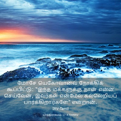 Picture 03 - யாத்திராகமம் 17:4 TAMIRV - மோசே யெகோவாவை - Bible Verse Picture