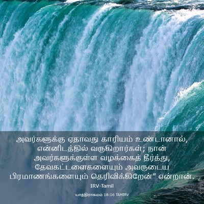 Picture 03 - யாத்திராகமம் 18:16 TAMIRV - அவர்களுக்கு - Bible Verse Picture