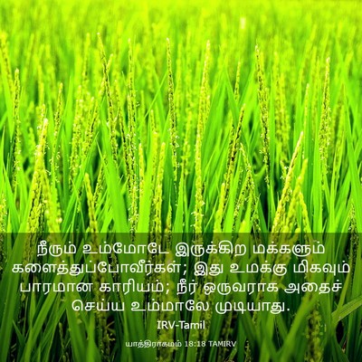 Picture 03 - யாத்திராகமம் 18:18 TAMIRV - நீரும் உம்மோடே - Bible Verse Picture