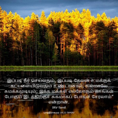 Picture 03 - யாத்திராகமம் 18:23 TAMIRV - இப்படி நீர் - Bible Verse Picture