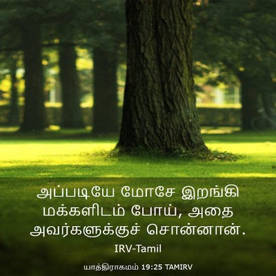 Picture 03 - யாத்திராகமம் 19:25 TAMIRV - அப்படியே மோசே - Bible Verse Picture