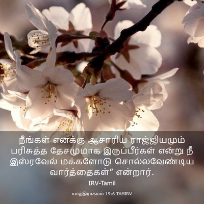 Picture 03 - யாத்திராகமம் 19:6 TAMIRV - நீங்கள் எனக்கு - Bible Verse Picture