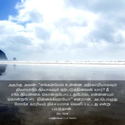 Picture 03 - யாத்திராகமம் 2:14 TAMIRV - அதற்கு அவன்: - Bible Verse Picture