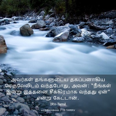 Picture 03 - யாத்திராகமம் 2:18 TAMIRV - அவர்கள் தங்களுடைய - Bible Verse Picture