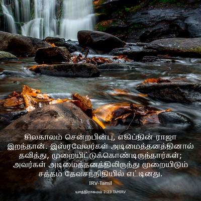 Picture 03 - யாத்திராகமம் 2:23 TAMIRV - சிலகாலம் - Bible Verse Picture