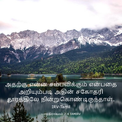 Picture 03 - யாத்திராகமம் 2:4 TAMIRV - அதற்கு என்ன - Bible Verse Picture