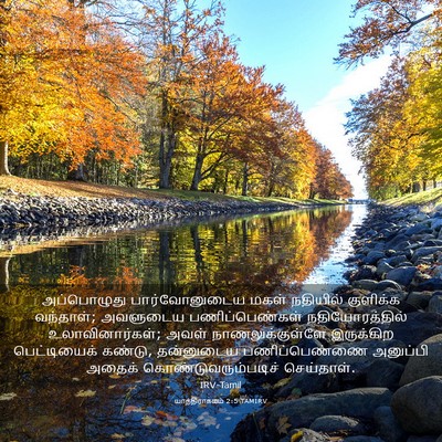 Picture 03 - யாத்திராகமம் 2:5 TAMIRV - அப்பொழுது - Bible Verse Picture