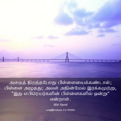 Picture 03 - யாத்திராகமம் 2:6 TAMIRV - அதைத் திறந்தபோது - Bible Verse Picture