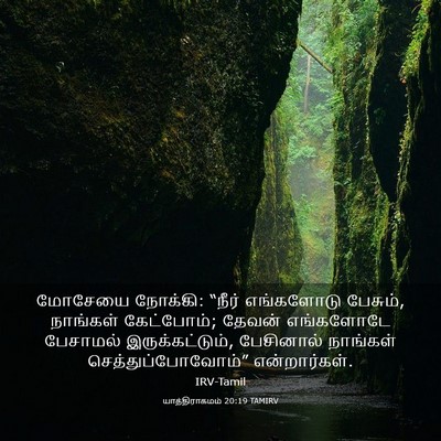 Picture 03 - யாத்திராகமம் 20:19 TAMIRV - மோசேயை நோக்கி: - Bible Verse Picture