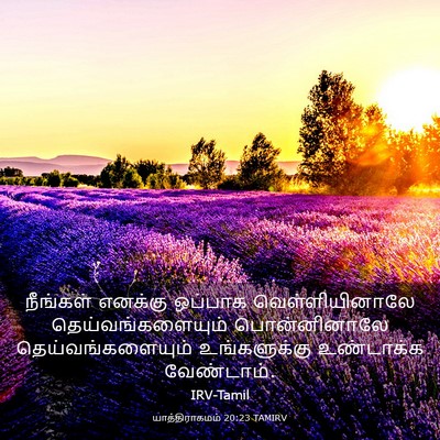 Picture 03 - யாத்திராகமம் 20:23 TAMIRV - நீங்கள் எனக்கு - Bible Verse Picture