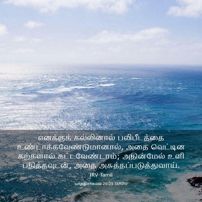 Picture 03 - யாத்திராகமம் 20:25 TAMIRV - எனக்குக் - Bible Verse Picture