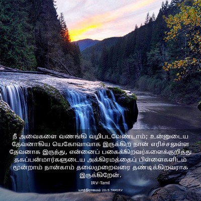 Picture 03 - யாத்திராகமம் 20:5 TAMIRV - நீ அவைகளை வணங்கி - Bible Verse Picture