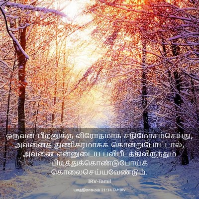 Picture 03 - யாத்திராகமம் 21:14 TAMIRV - ஒருவன் பிறனுக்கு - Bible Verse Picture