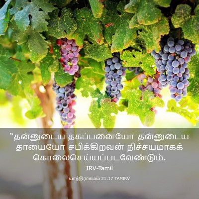 Picture 03 - யாத்திராகமம் 21:17 TAMIRV - “தன்னுடைய - Bible Verse Picture