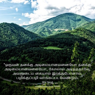 Picture 03 - யாத்திராகமம் 21:20 TAMIRV - “ஒருவன் தனக்கு - Bible Verse Picture