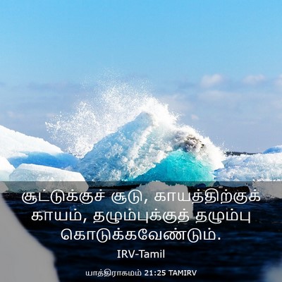 Picture 03 - யாத்திராகமம் 21:25 TAMIRV - சூட்டுக்குச் - Bible Verse Picture