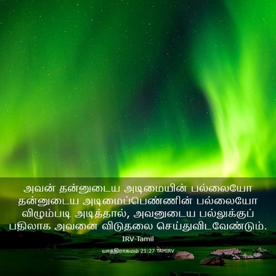 Picture 03 - யாத்திராகமம் 21:27 TAMIRV - அவன் தன்னுடைய - Bible Verse Picture