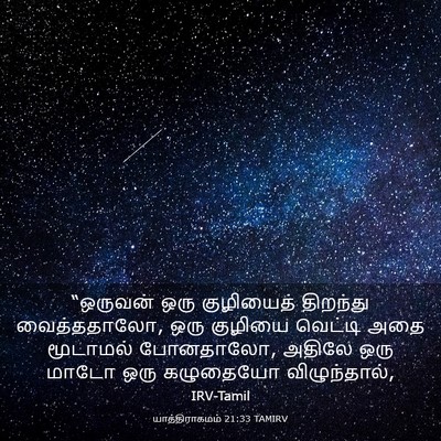 Picture 03 - யாத்திராகமம் 21:33 TAMIRV - “ஒருவன் ஒரு - Bible Verse Picture