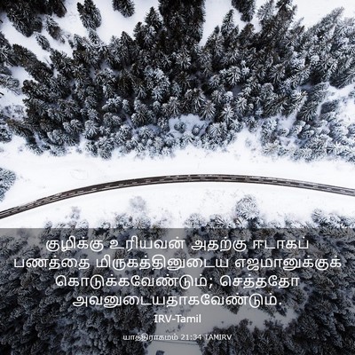 Picture 03 - யாத்திராகமம் 21:34 TAMIRV - குழிக்கு உரியவன் - Bible Verse Picture