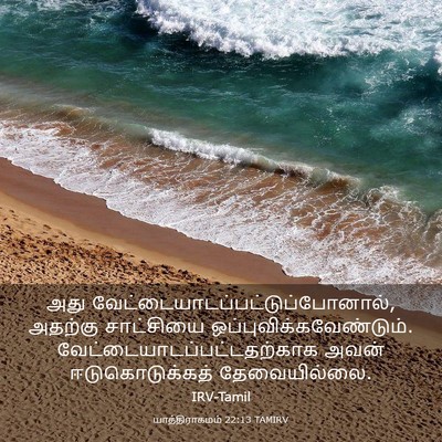 Picture 03 - யாத்திராகமம் 22:13 TAMIRV - அது - Bible Verse Picture